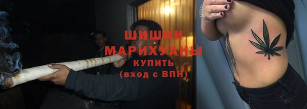 spice Куйбышев