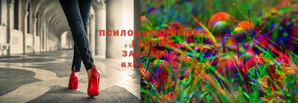 MESCALINE Кукмор