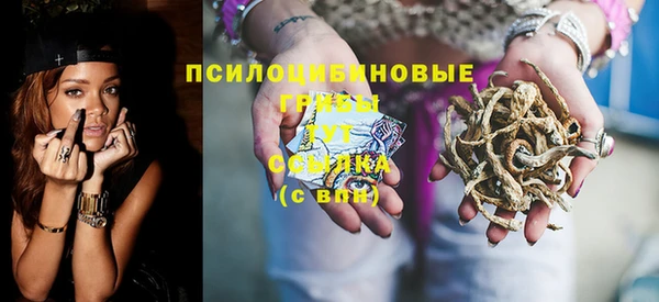 ГАЛЛЮЦИНОГЕННЫЕ ГРИБЫ Нягань